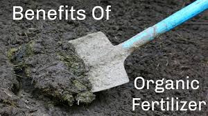 organic-fertilizer