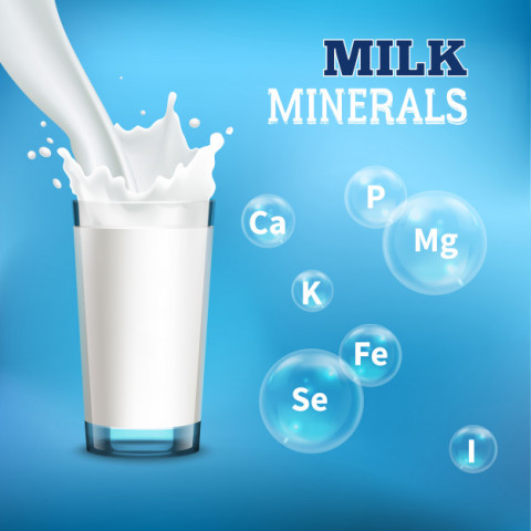 9 Milk Facts You Need To Know